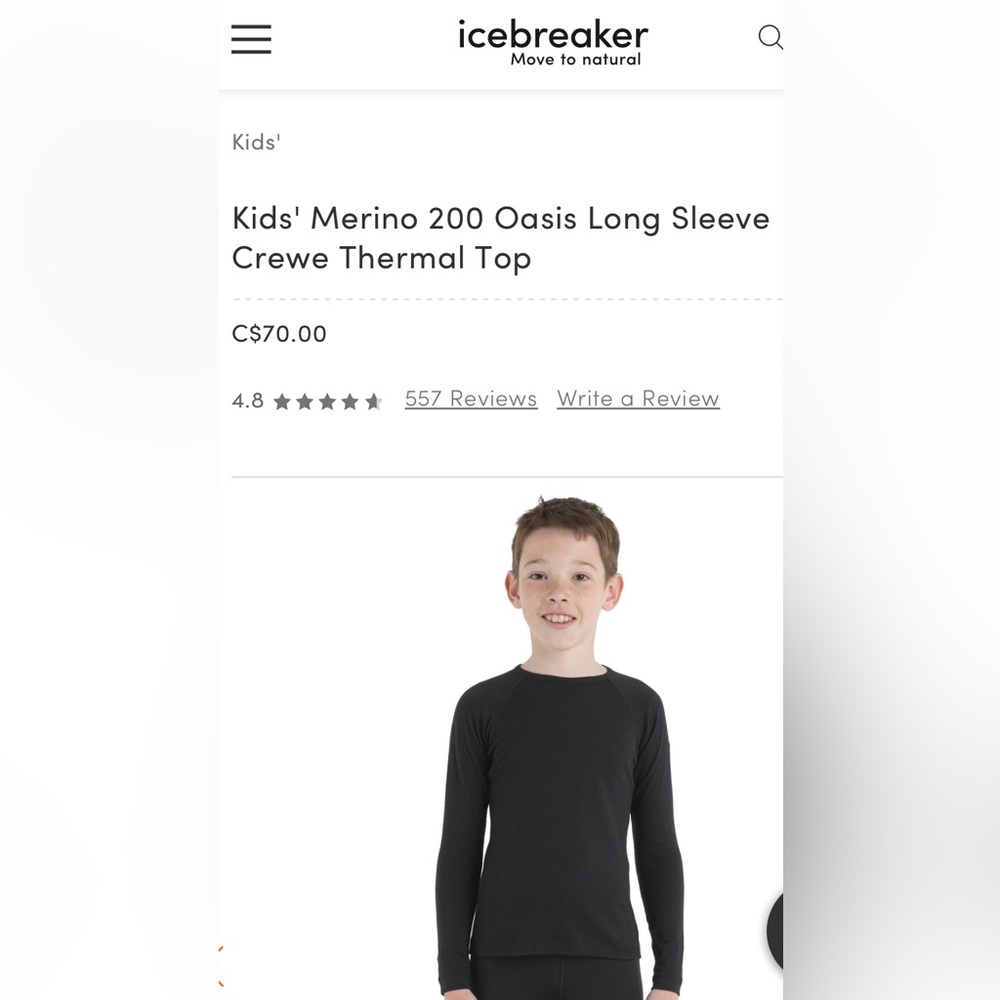 Icebreaker Merino 200 Oasis Long sleeve Thermal Top